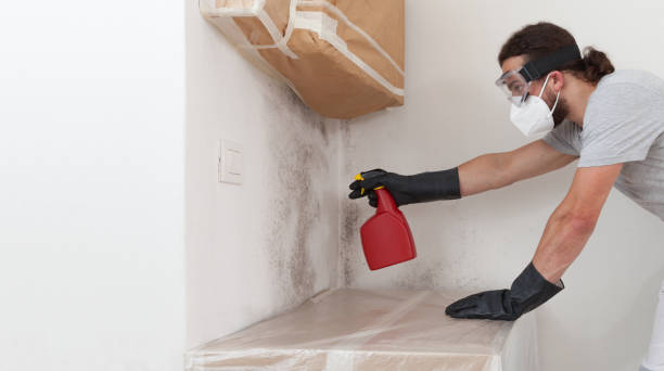 Professional Attic Mold Remediation technician working in Henderson, CO
